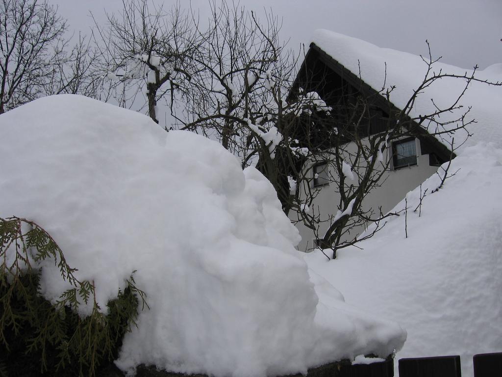 Nasa Hisa Apartment Bohinj ห้อง รูปภาพ