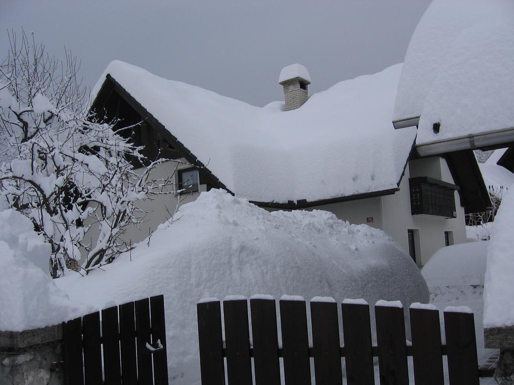 Nasa Hisa Apartment Bohinj ห้อง รูปภาพ