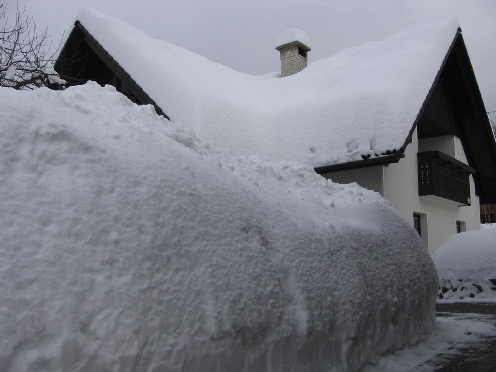 Nasa Hisa Apartment Bohinj ห้อง รูปภาพ